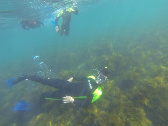  Noleggia attrezzatura per lo snorkeling